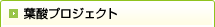 �t�_�v���W�F�N�g