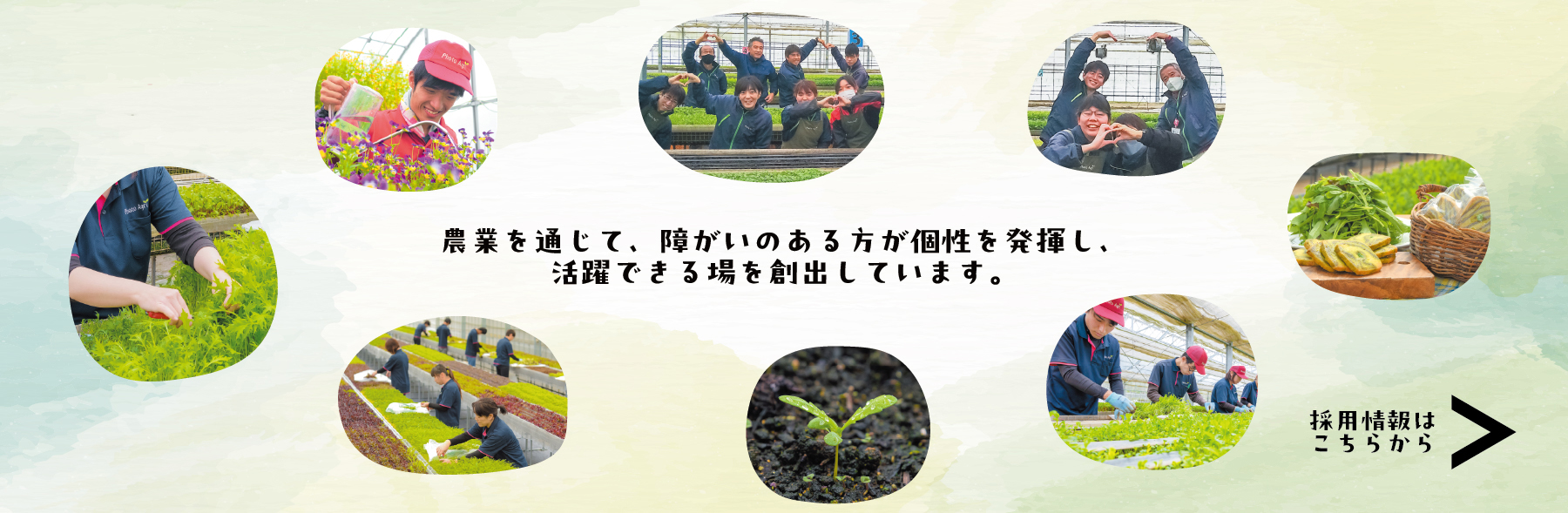 農業を通じて、障がいのある方が個性を発揮し、活躍できる場を創出しています。